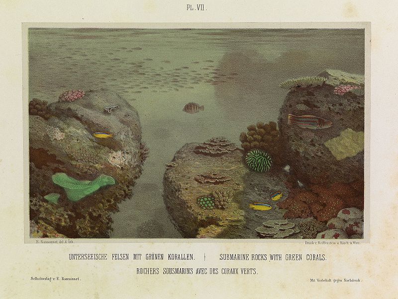 underwater painting history